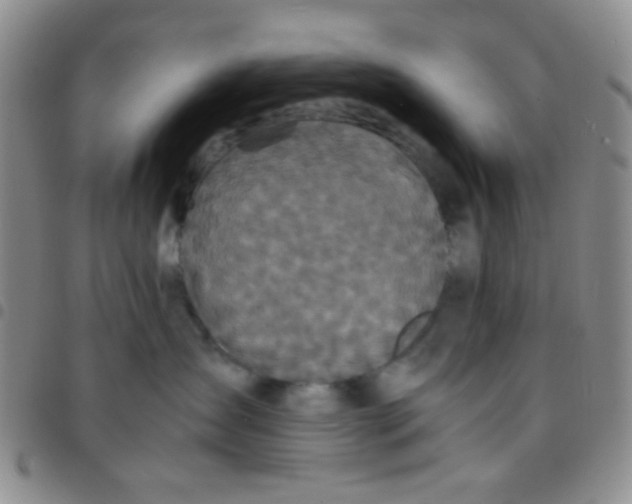 X0000097480431200803141939