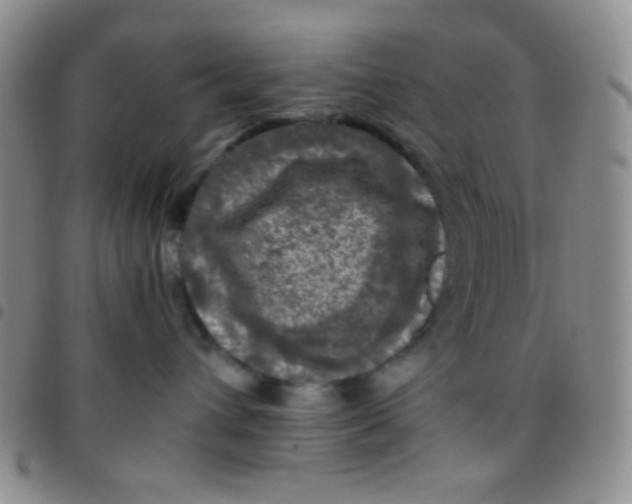 X0000097480432200803141939