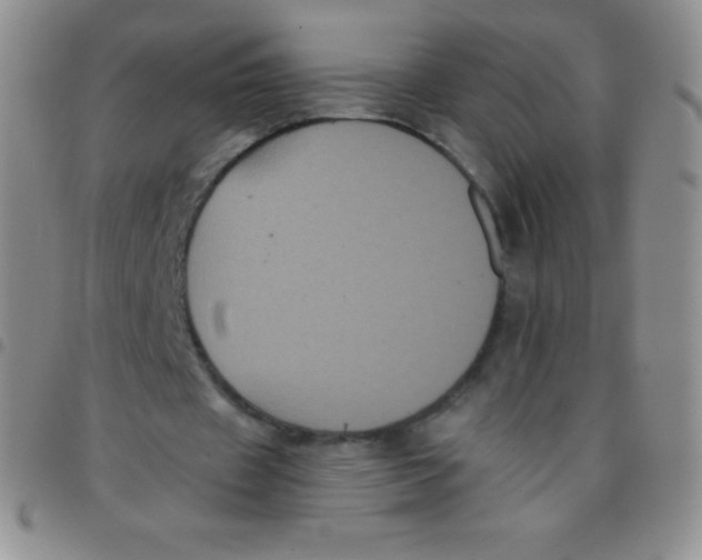 X0000097480433200803141938