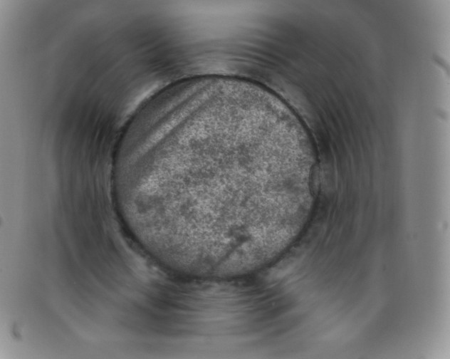 X0000097480434200803141938