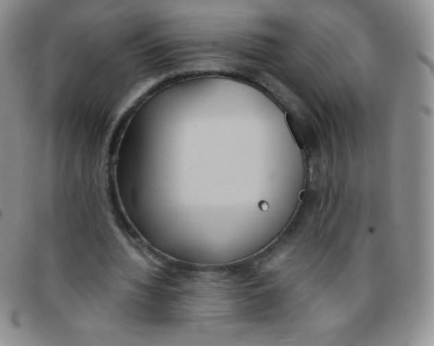 X0000097480436200803141938