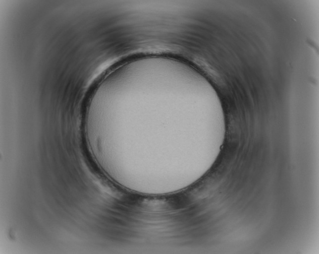 X0000097480440200803141938