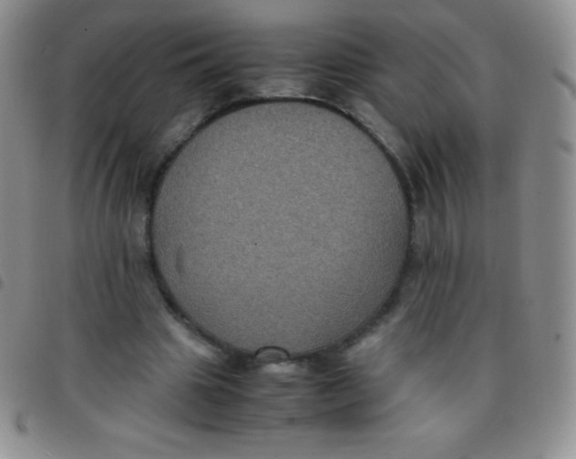 X0000097480441200803141938