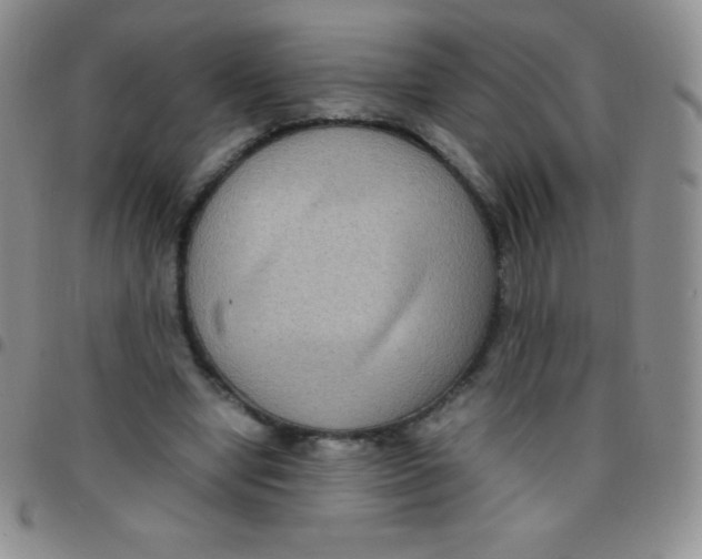 X0000097480442200803141938