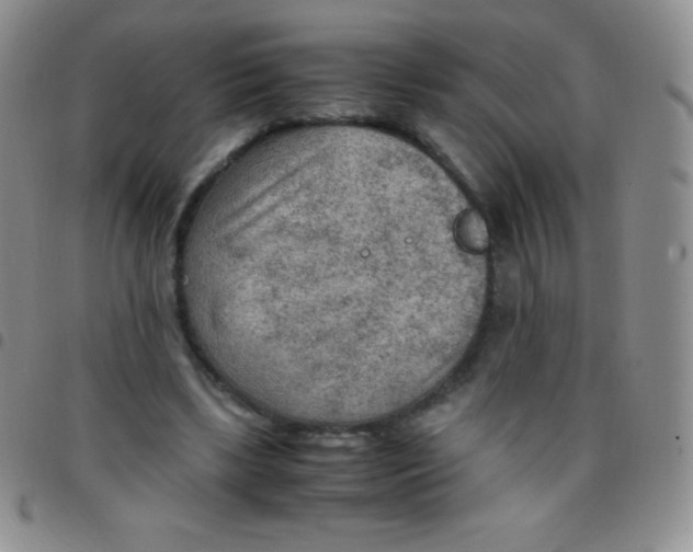 X0000097480443200803141938