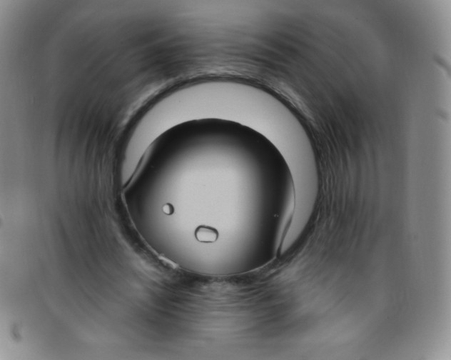 X0000097480444200803141938