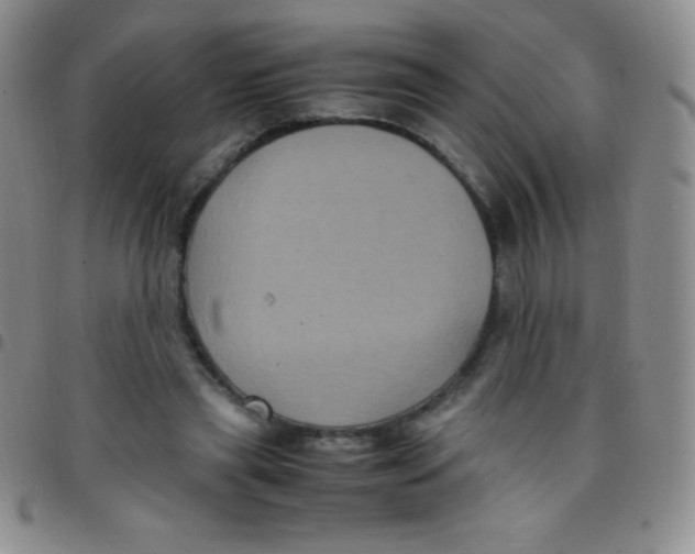 X0000097480445200803141938