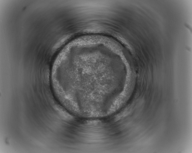 X0000097480446200803141938