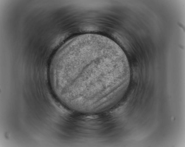 X0000097480447200803141938