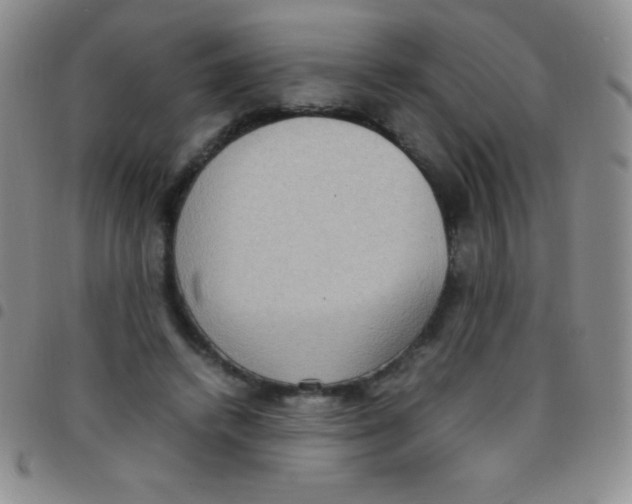 X0000097480448200803141938