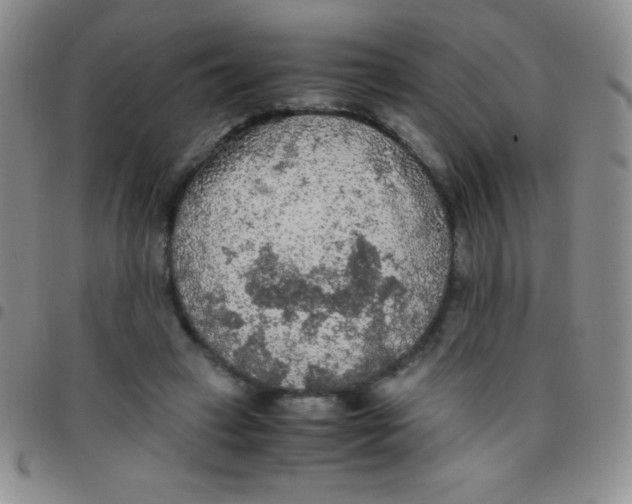 X0000097480449200803141938