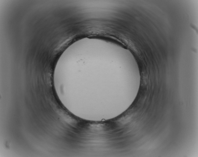 X0000097480450200803141938