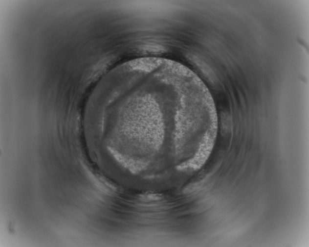 X0000097480451200803141938