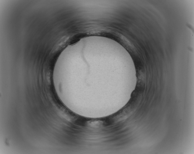 X0000097480452200803141938