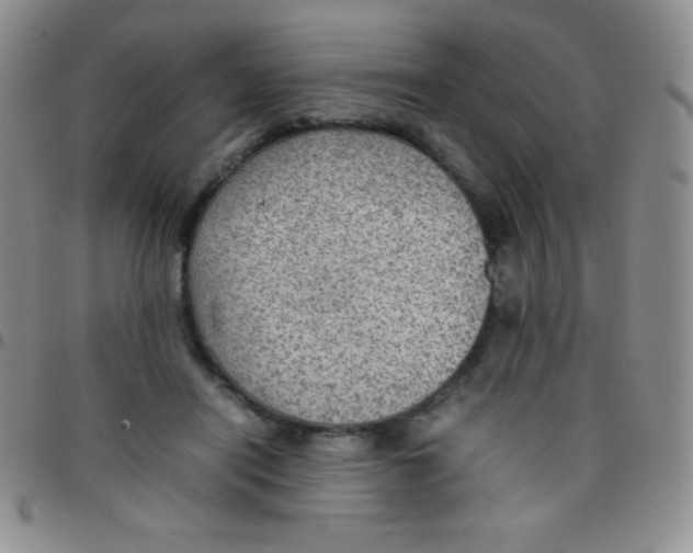 X0000097480454200803141938