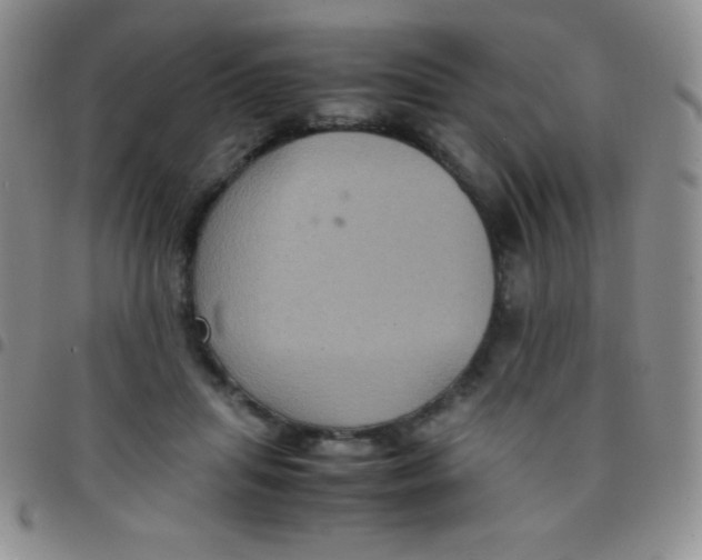 X0000097480455200803141938