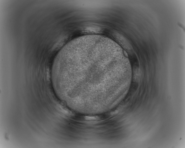 X0000097480457200803141938