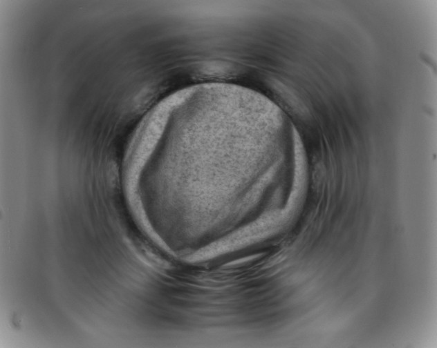 X0000097480459200803141938