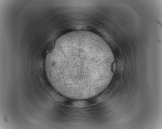 X0000097480461200803141938