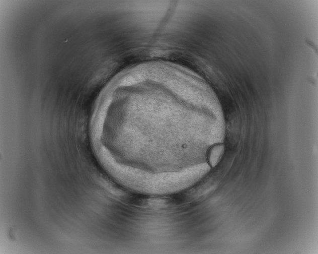 X0000097480462200803141938