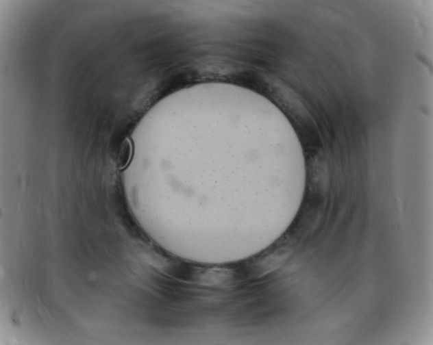 X0000097480463200803141938