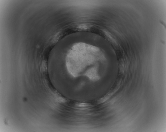 X0000097480467200803141938