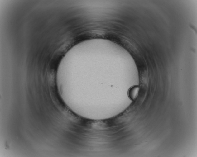 X0000097480468200803141938