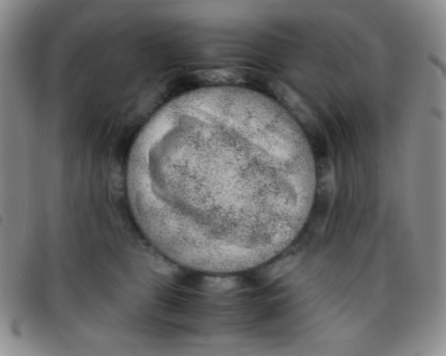 X0000097480469200803141938