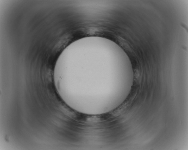 X0000097480470200803141938