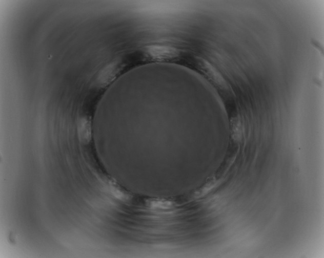 X0000097480471200803141938