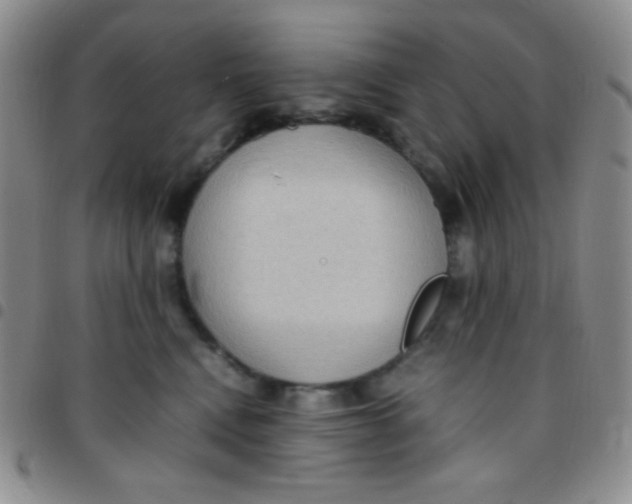 X0000097480472200803141938