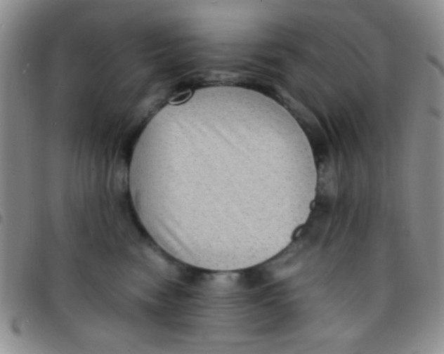 X0000097480474200803141939