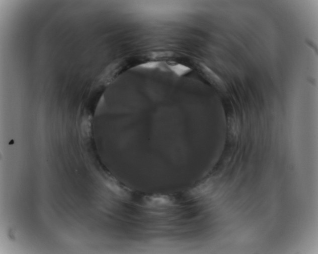 X0000097480475200803141939