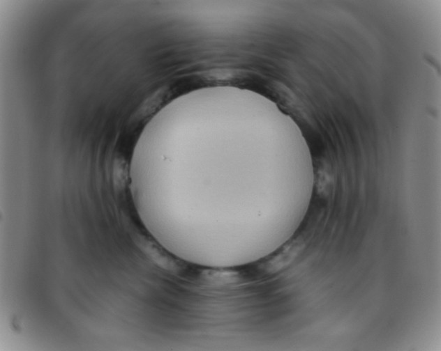 X0000097480476200803141939