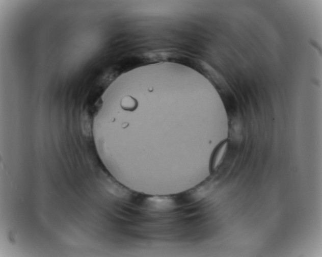 X0000097480477200803141939