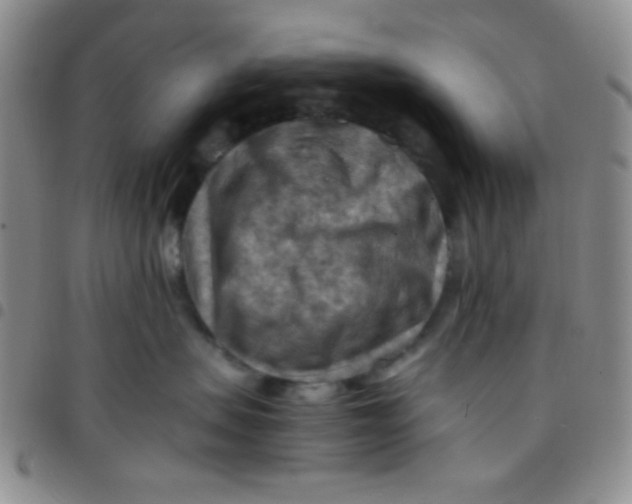 X0000097480479200803141939