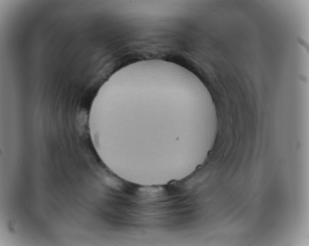 X0000097480480200803141939