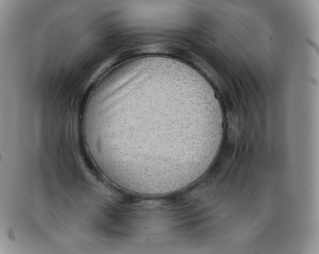 X0000097480482200803141938