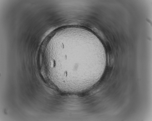 X0000097480483200803141938