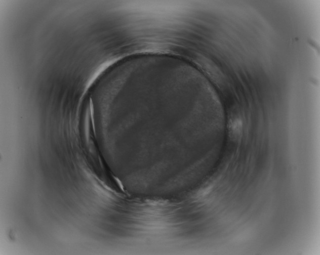 X0000097480484200803141938