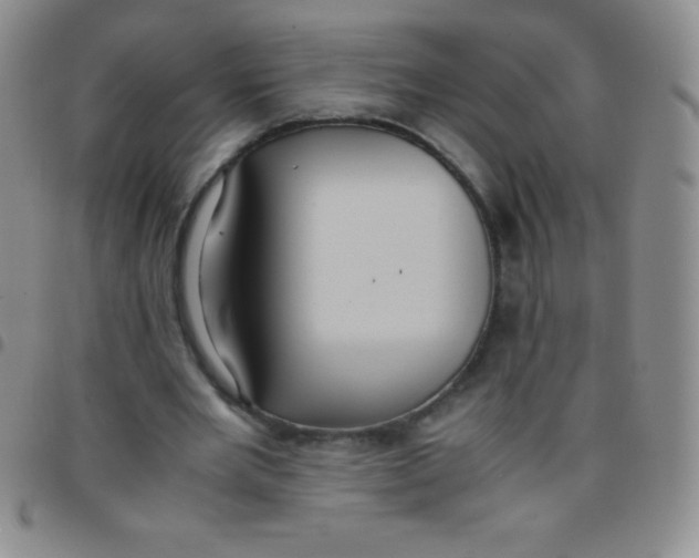 X0000097480485200803141938