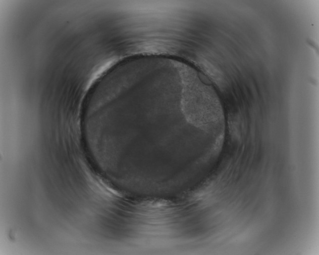 X0000097480488200803141938