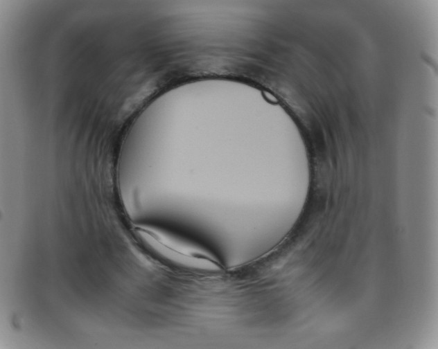 X0000097480489200803141938