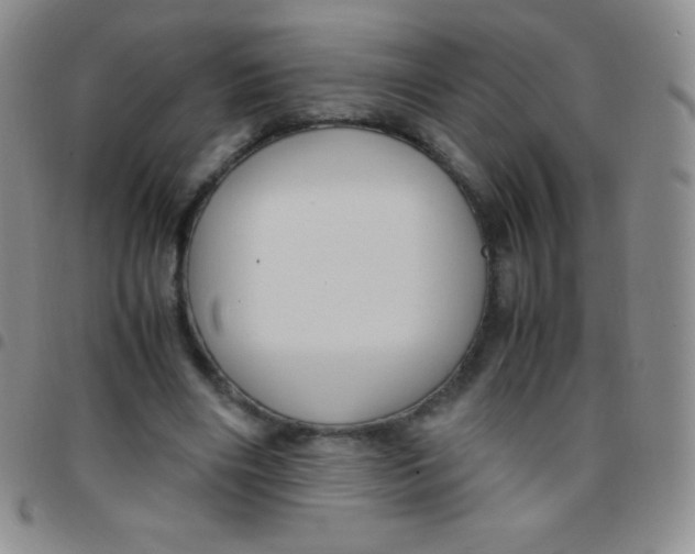 X0000097480490200803141938