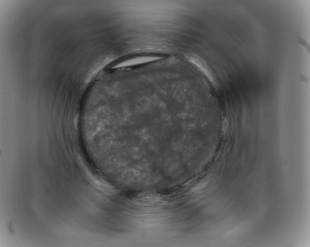 X0000097480491200803141938