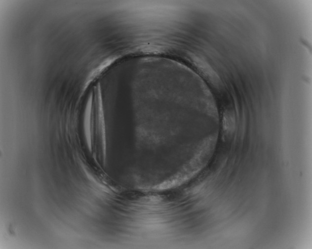 X0000097480492200803141938