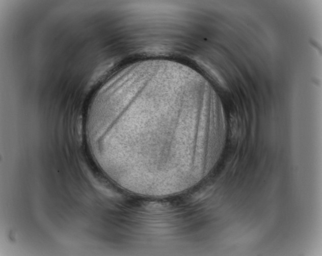 X0000097480494200803141938