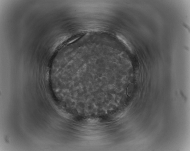 X0000097480495200803141938