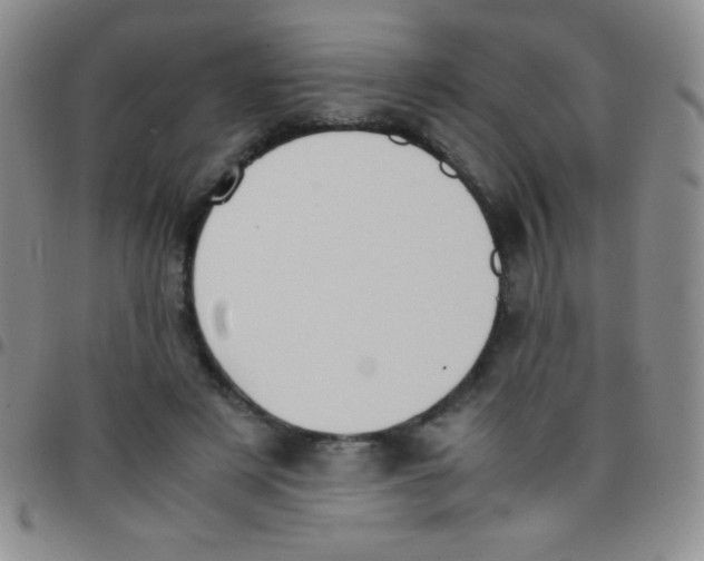 X0000097480497200803141938