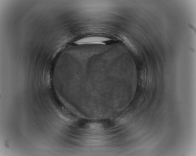 X0000097480500200803141938